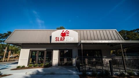 Slapfish 8 of 43