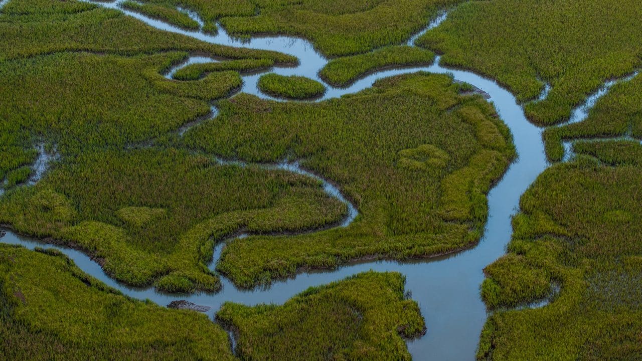 Navigating the Lowcountry