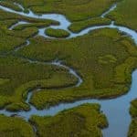 Navigating the Lowcountry